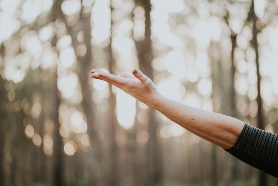 The Rise of Healing Frequencies in Modern Wellness Programs