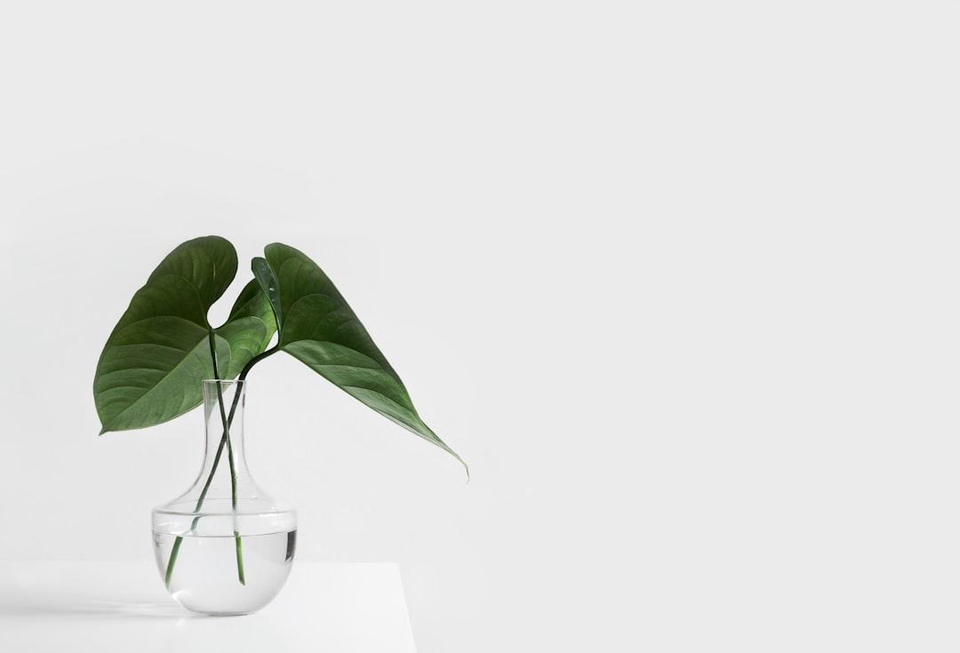 Create a Zen Home with Functional Minimalism