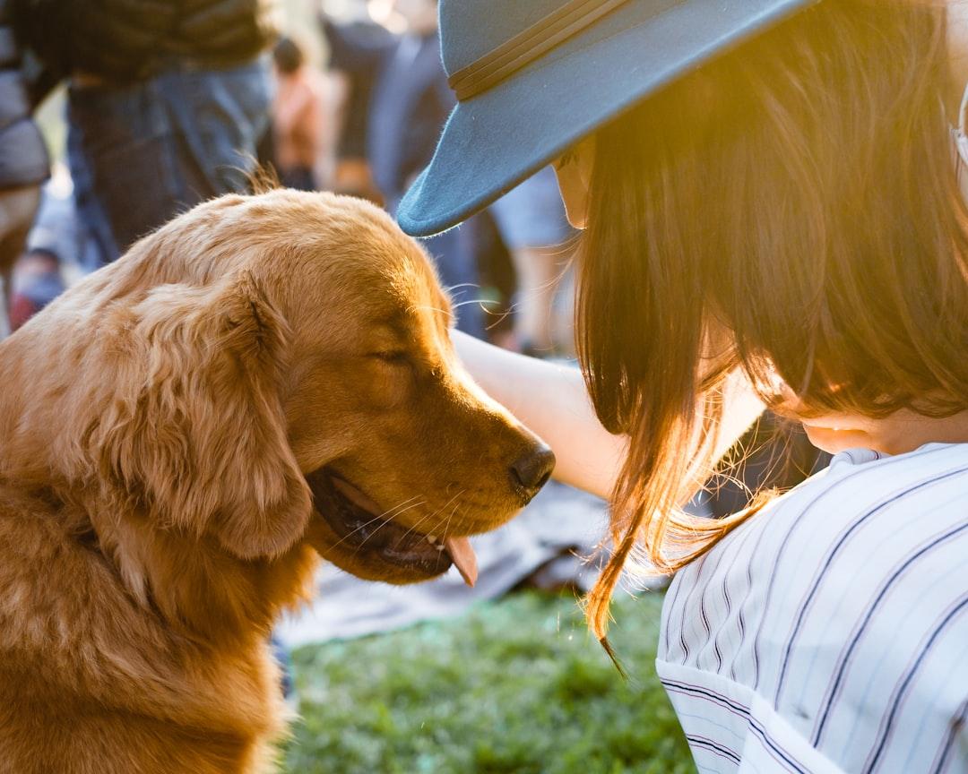 Eco-Friendly Pet Care: Innovations from Modern Boutiques