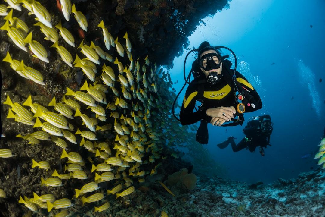 Scuba Diving Lessons: Dive into the Deep Blue