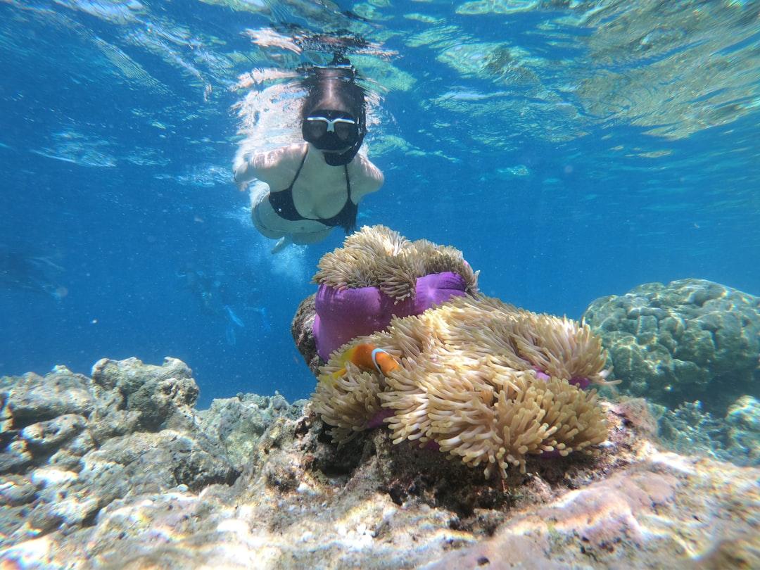 Snorkeling Adventures for Marine Conservation