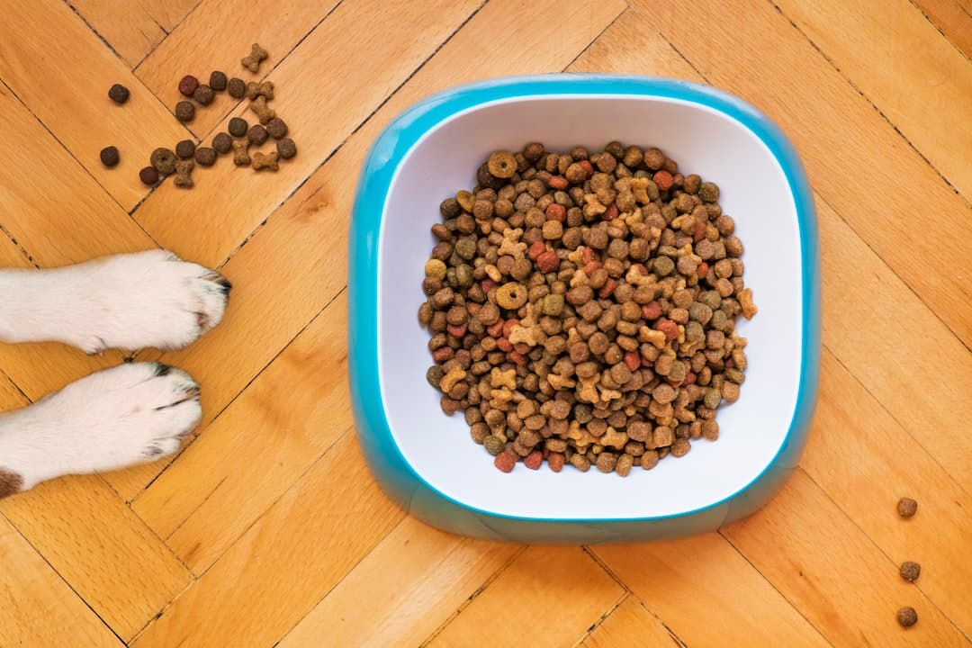 How Influencers Are Transforming Pet Food Sales