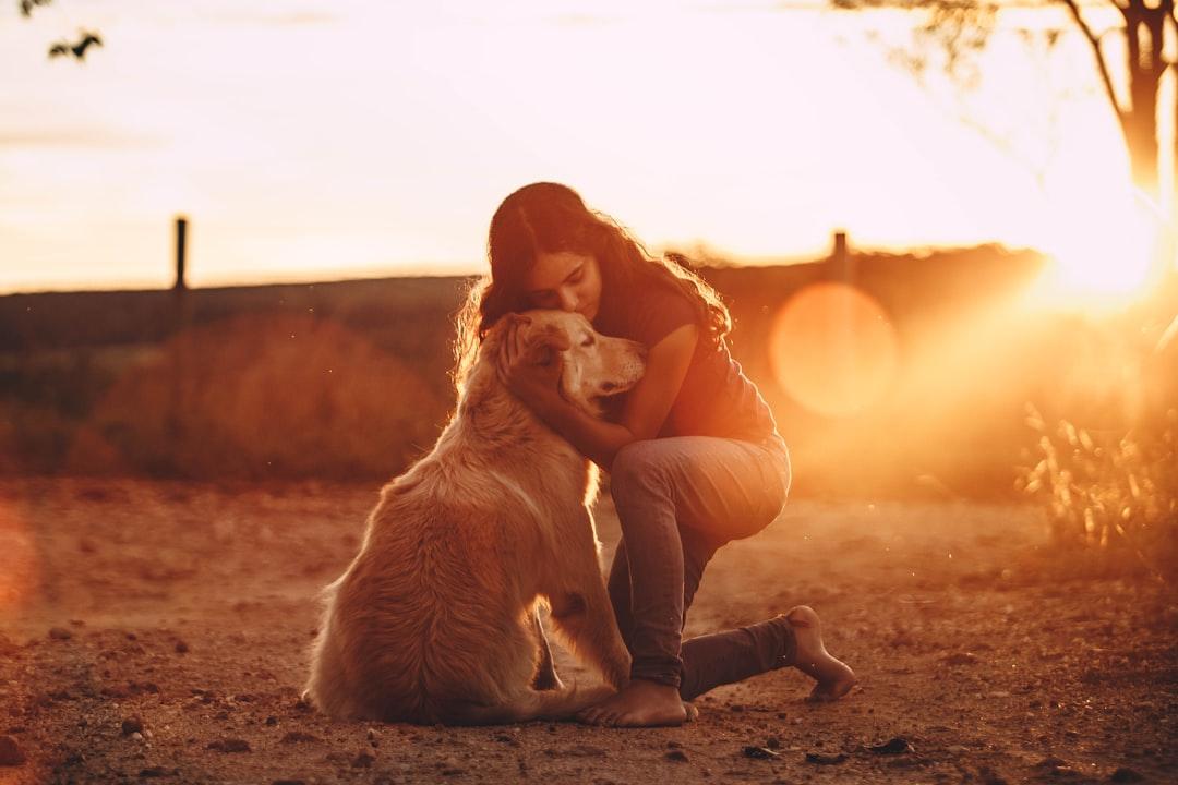 Are CBD Dog Treats the New Go-To for Pet Wellness?