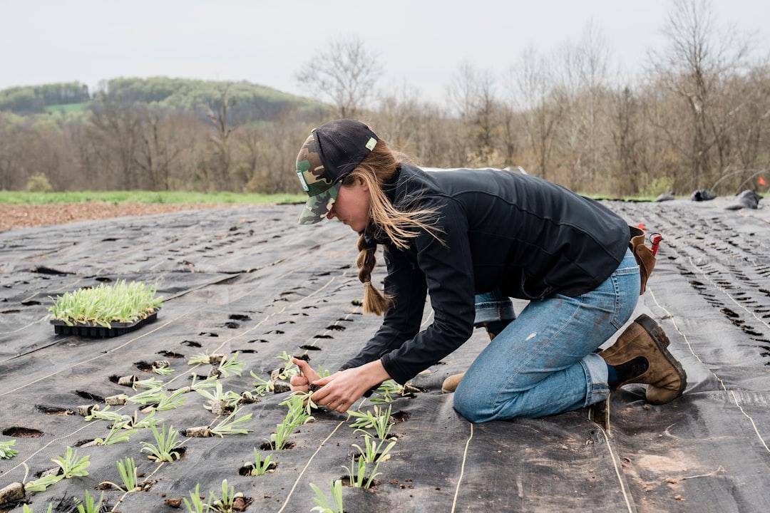 Sustainable Snacking with Regenerative Agriculture