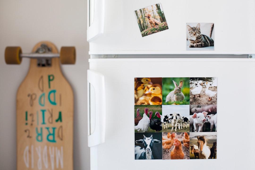 Master Fridgescaping: Blend Art with Kitchen Functionality