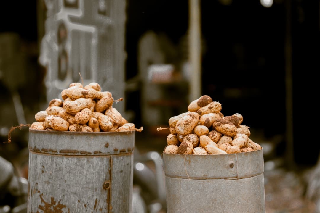 Boiled Peanuts: The Nostalgic Superfood You Need