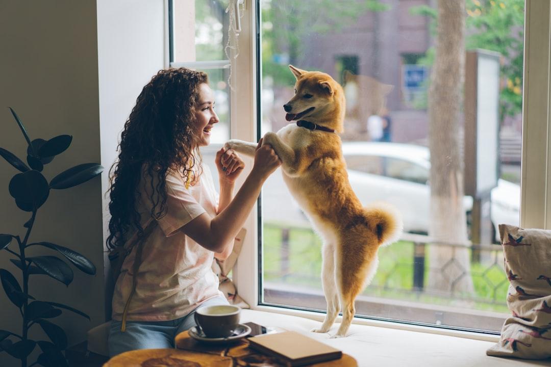 The Popularity of Pet Cafes: Beyond Just Coffee and Cats