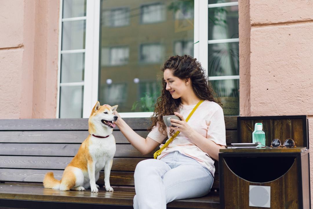 Petbeing: Transforming Urban Pet Care