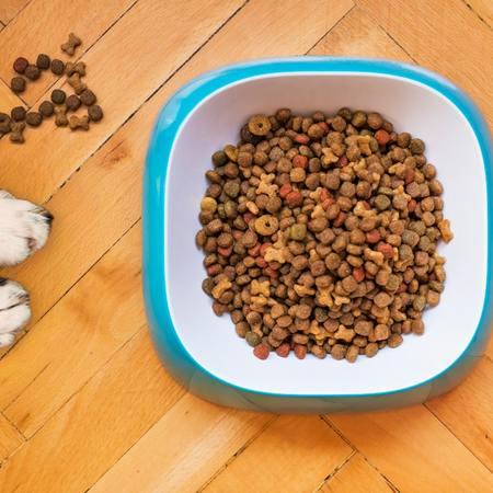 How Influencers Are Transforming Pet Food Sales