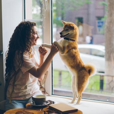 The Popularity of Pet Cafes: Beyond Just Coffee and Cats