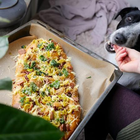 The Rise of Plant-Based Pet Food