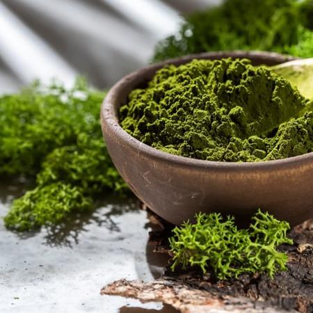 AI in Health: From Chlorella Tea to Protein Powders