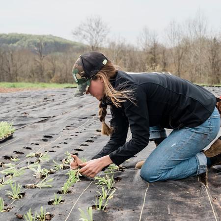 Sustainable Snacking with Regenerative Agriculture