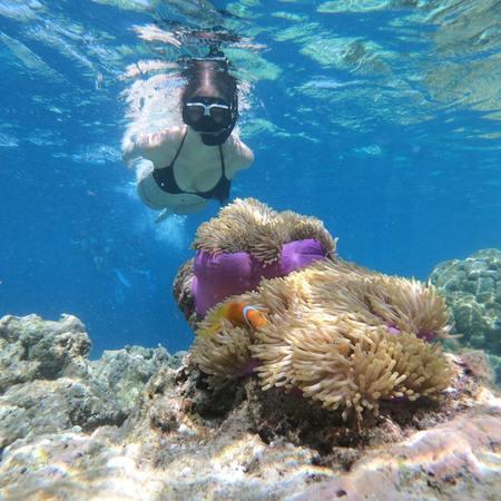 Snorkeling Adventures for Marine Conservation