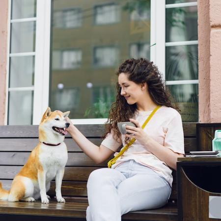 Petbeing: Transforming Urban Pet Care