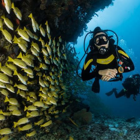 Scuba Diving Lessons: Dive into the Deep Blue