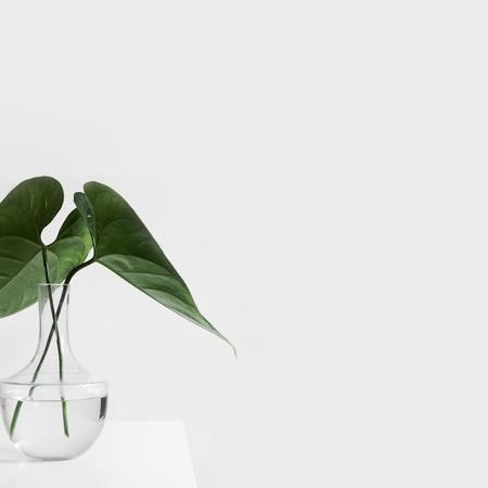 Create a Zen Home with Functional Minimalism