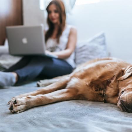 Leveraging Influencer Marketing in the Pet Food Industry