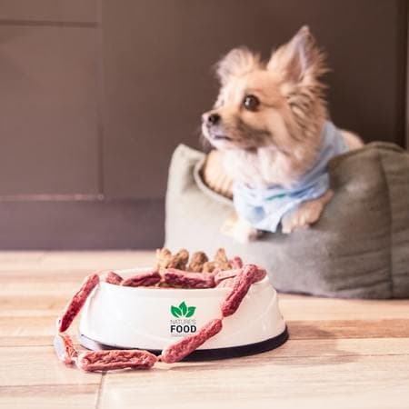 Why More Pet Owners Are Switching to Raw Dog Food