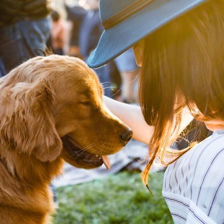 Eco-Friendly Pet Care: Innovations from Modern Boutiques