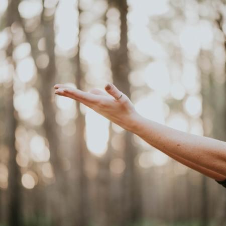 The Rise of Healing Frequencies in Modern Wellness Programs